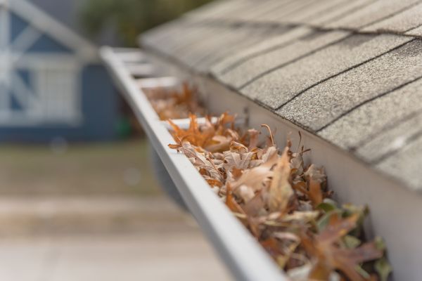 Leaf Barrier Installation in Bradenton